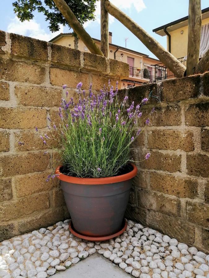 Ferienwohnung Il Casale Di Luna Saturnia Exterior foto